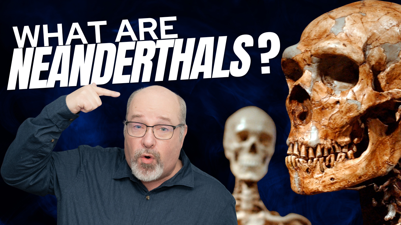 What Are Neanderthals?