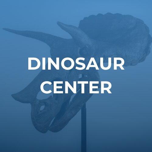 Dinosaur Center